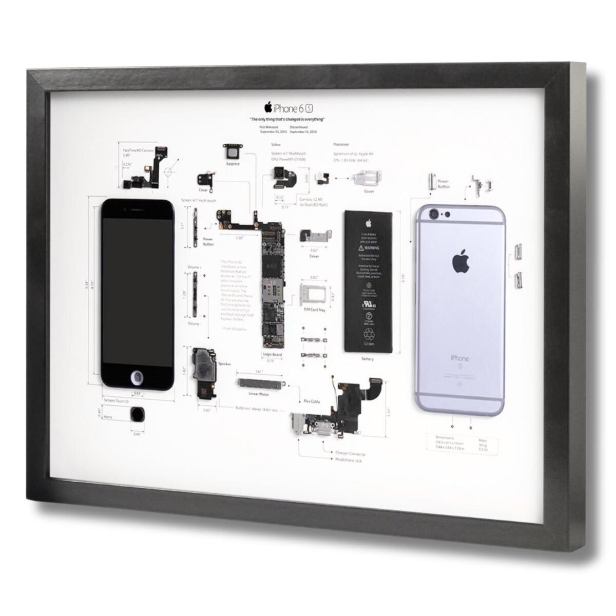 iPhone 6s Plus Teardown - iFixit