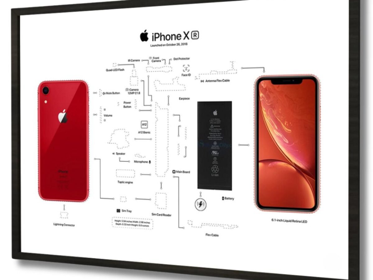 IPhone XR Teardown Template - TeardownArts